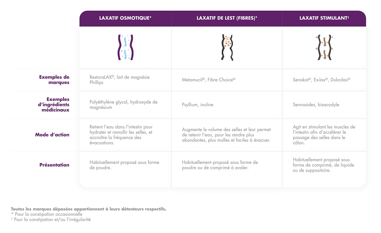 Guide tabulaire comparant les laxatifs osmotiques laxatifs fibreux formant du volume et les laxatifs stimulants