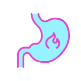 Digestion icon
