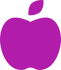 Apple icon